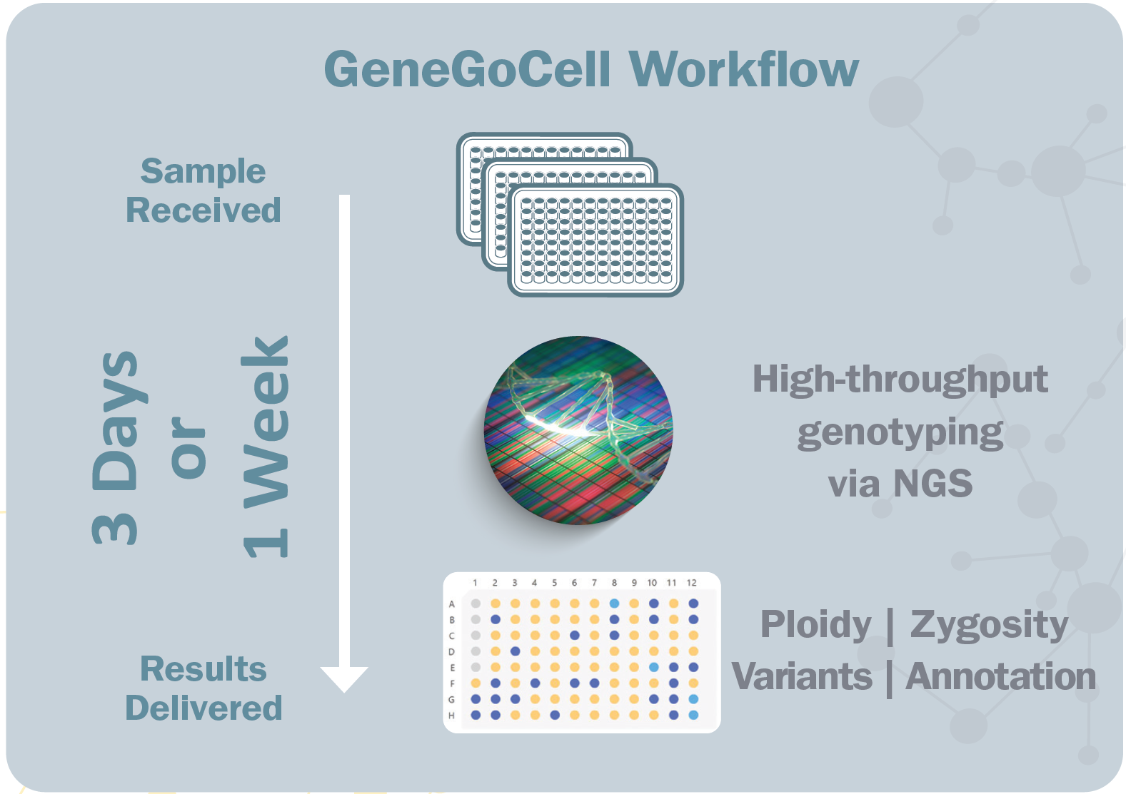 G-Screen workflow.