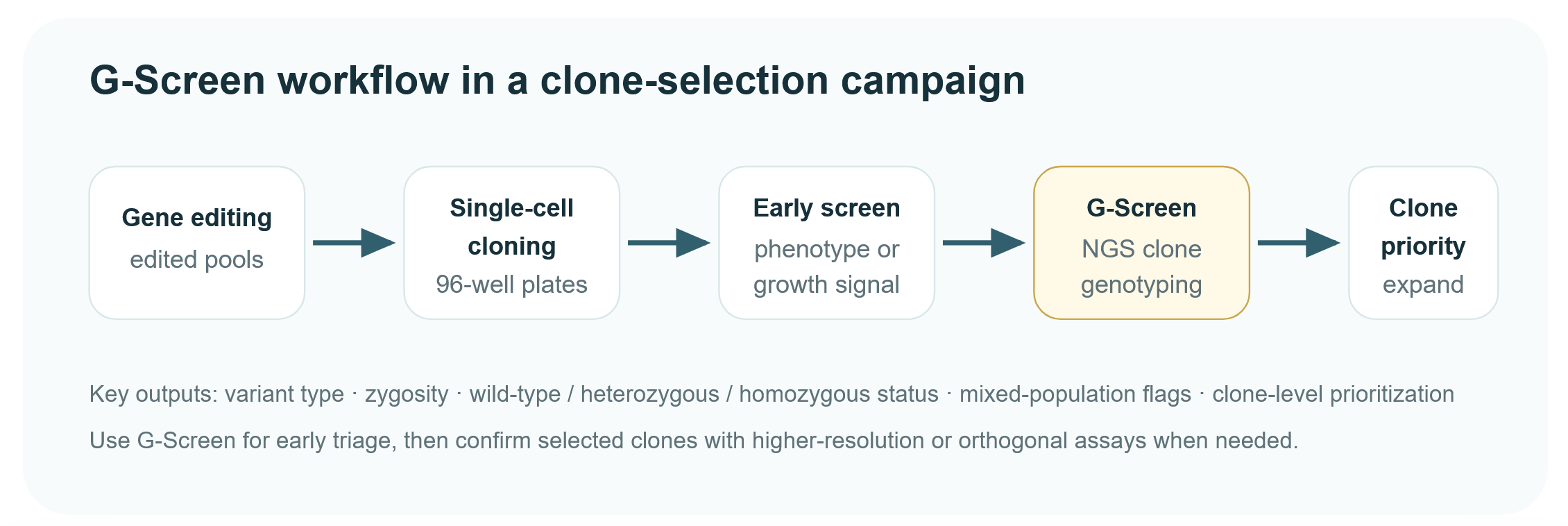 G-Screen workflow.